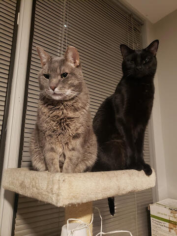 Roger &amp; Nim standing tall