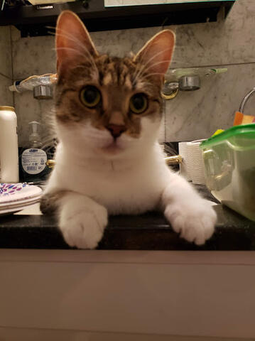 Kramer sitting in the sink