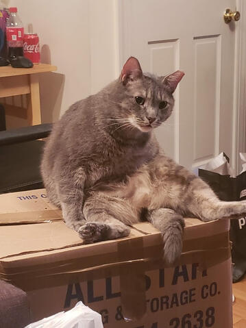 Roger going full lounge