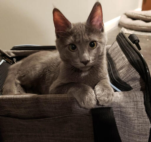 Perry sitting pretty