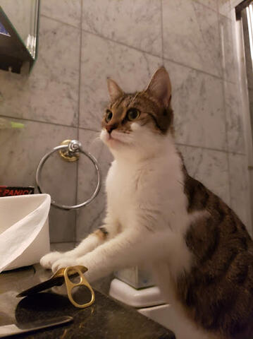 Very pregnant Kramer