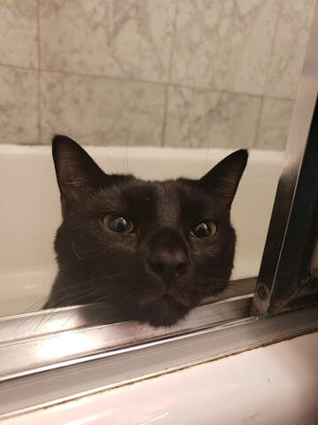 Nim losing his mind over bacon smells