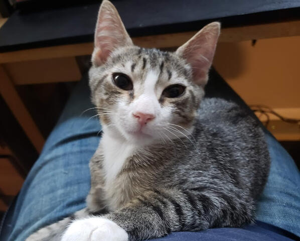 Marley snugglin&#39;