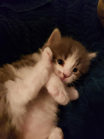 Ruthie with the high kicks